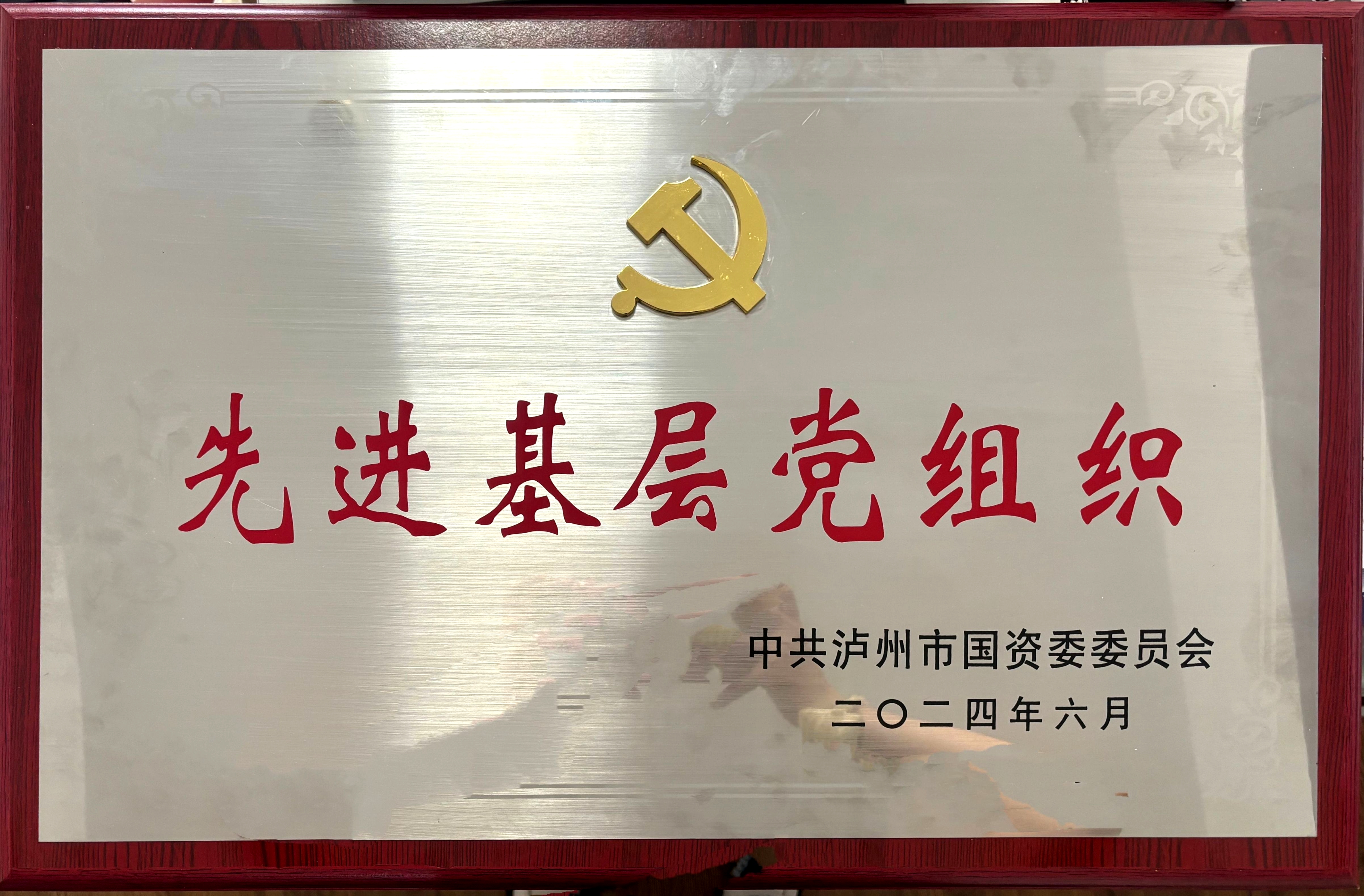 喜報(bào)！醫(yī)療投資公司黨支部獲評(píng)市國(guó)資系統(tǒng)先進(jìn)基層黨組織